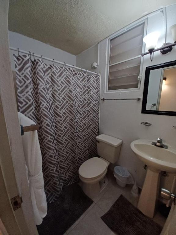 Family House Rain Forest And Beaches Pet Friendly Río Grande Exterior foto